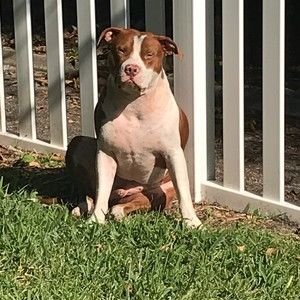 Meet your Posher, Janis